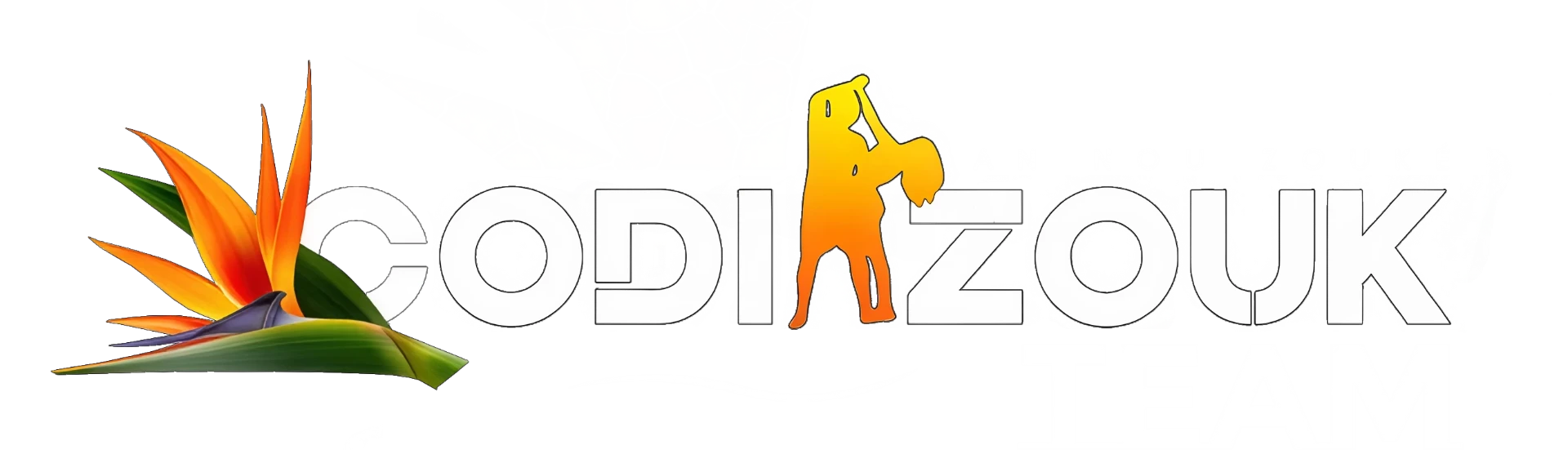 Codizouk